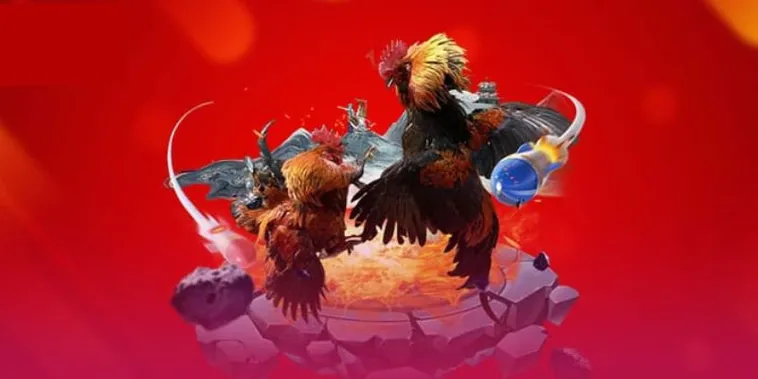 Đá Gà ABC8 Trực Tiếp Sống Động Từ Các Sới Gà Lớn