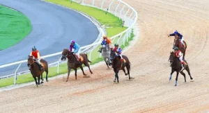 Cá Cược Đua Ngựa ABC8 Trở Thành Bậc Thầy Đường Đua